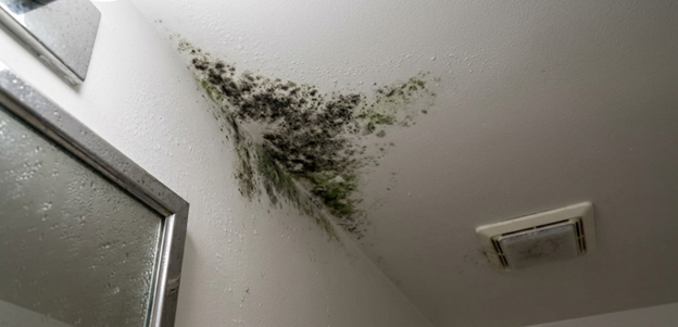 roofing companies Halifax