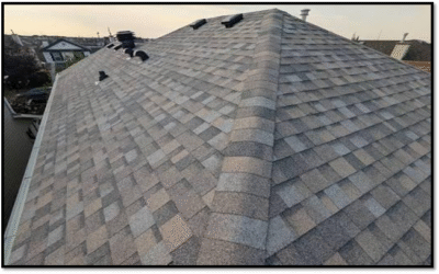 Benefits of IKO Dynasty Shingles for Your Roof