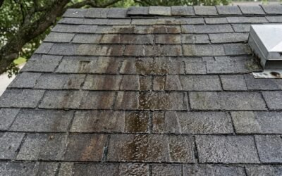 Algae Growth on Asphalt Roof Shingles